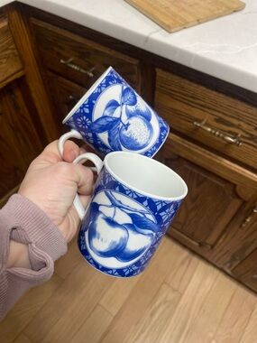 Pier 1 Blue and White Fruit Design Mugs